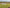 UG25 stationary on a short grass staging strip beside patchwork agricultural plots, three-quarter eye-level view, no people or flight.