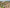 g25-fixed-wing-vtol-drone-large-area-survey-mapping