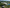 ug21-vtol-fixed-wing-drone-environmental-forest-monitoring