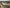 ug21-vtol-fixed-wing-drone-security-border-surveillance